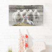 Sheep Flock Baby Lamb Banner (Insitu)