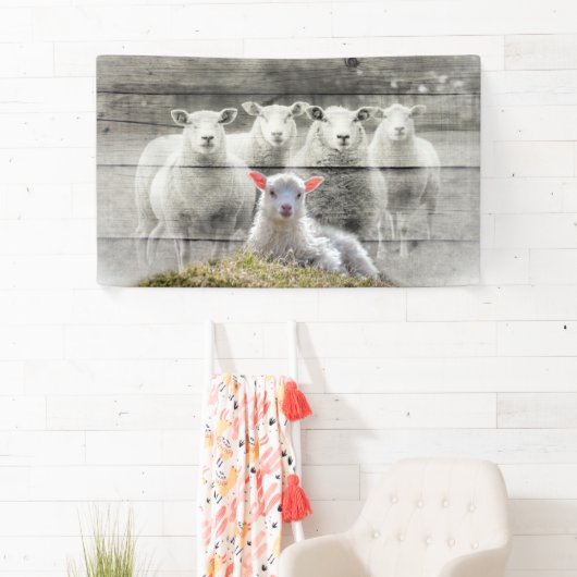 Sheep Flock Baby Lamb Banner (Insitu)