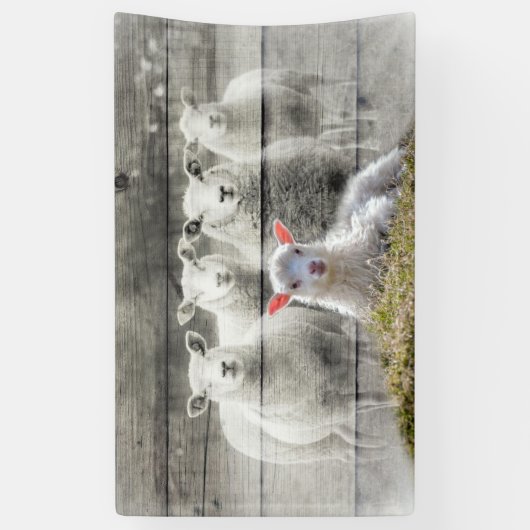Sheep Flock Baby Lamb Banner (Vertikal)