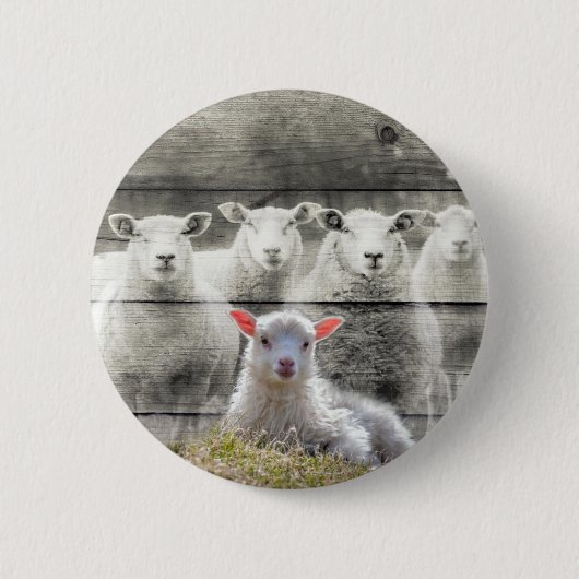Sheep Flock Baby Lamb Button (Vorderseite)