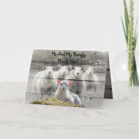Sheep Flock Baby Lamb Danke Karte