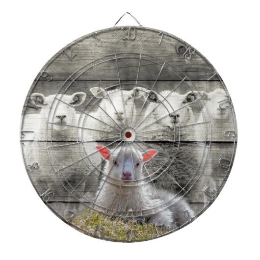 Sheep Flock Baby Lamb Dartscheibe (vorne)