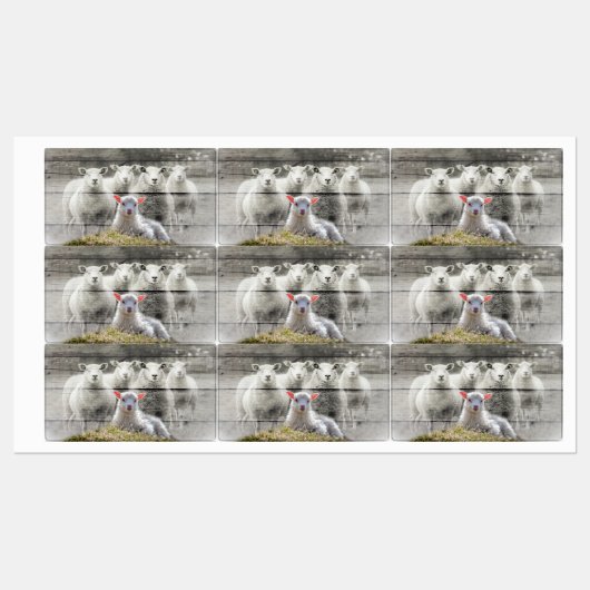 Sheep Flock Baby Lamb Etiketten (Blatt)