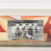 Sheep Flock Baby Lamb Etiketten (Befestigt)