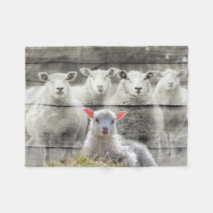 Sheep Flock Baby Lamb Fleecedecke
