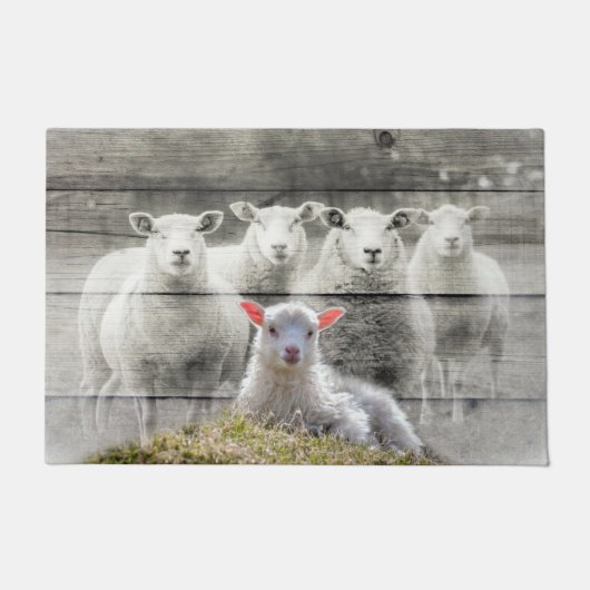 Sheep Flock Baby Lamb Fußmatte (Vorderseite)