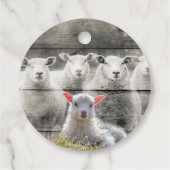 Sheep Flock Baby Lamb Geschenkanhänger (Rückseite)