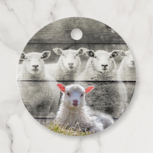 Sheep Flock Baby Lamb Geschenkanhänger (Vorderseite)