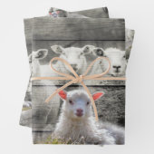 Sheep Flock Baby Lamb Geschenkpapier Set (Beispiel)