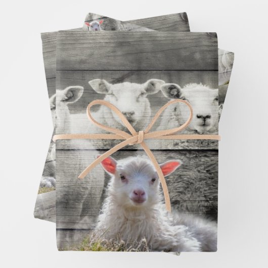 Sheep Flock Baby Lamb Geschenkpapier Set (Beispiel)