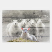 Sheep Flock Baby Lamb Geschenkpapier Set (Vorderseite)