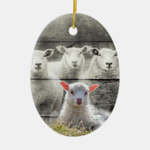 Sheep Flock Baby Lamb Keramik Ornament