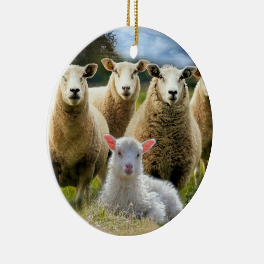 Sheep Flock Baby Lamb Keramik Ornament (Rechts)