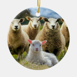Sheep Flock Baby Lamb Keramik Ornament