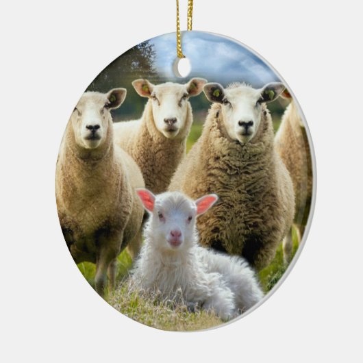 Sheep Flock Baby Lamb Keramik Ornament (Links)