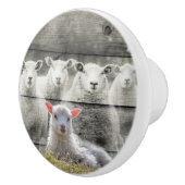 Sheep Flock Baby Lamb Keramikknauf (Rechts)