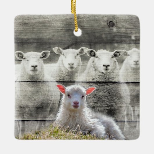 Sheep Flock Baby Lamb Keramikornament (Vorderseite)