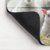 Sheep Flock Baby Lamb Mousepad (Ecke)