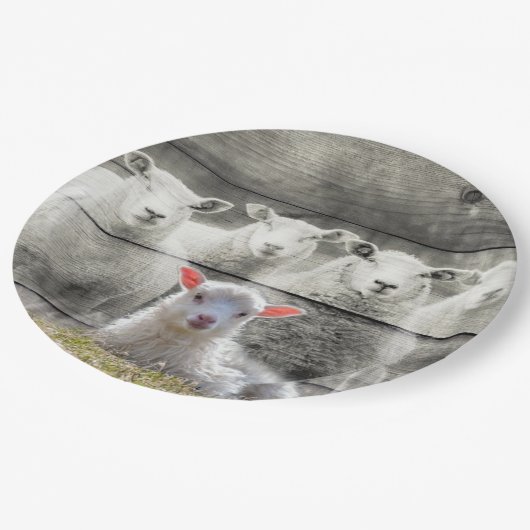 Sheep Flock Baby Lamb Pappteller (Schrägansicht)