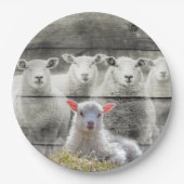Sheep Flock Baby Lamb Pappteller (Vorderseite)
