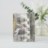 Sheep Flock Baby Lamb Postkarte (Stehend Vorderseite)