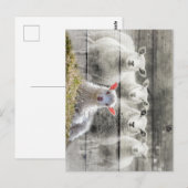 Sheep Flock Baby Lamb Postkarte (Vorne/Hinten)