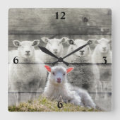 Sheep Flock Baby Lamb Quadratische Wanduhr (Vorderseite)