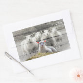 Sheep Flock Baby Lamb Rechteckiger Aufkleber (Umschlag)