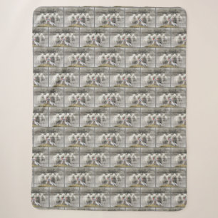 Sheep Flock Baby Lamb Sherpadecke