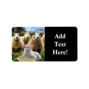 Sheep Flock Sheep Herd Baby Lamb Adressaufkleber