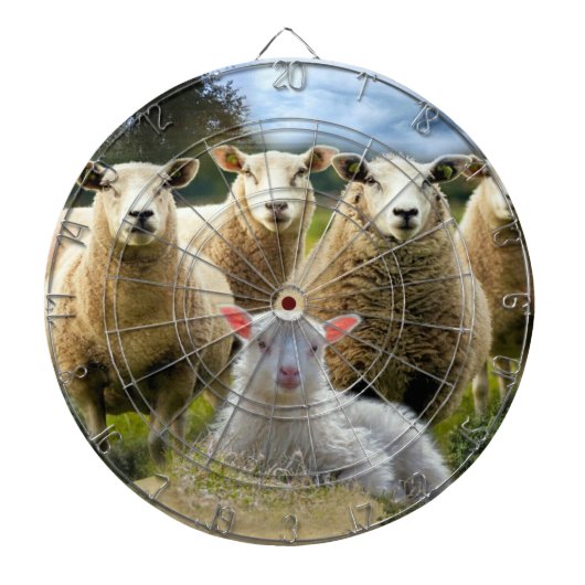 Sheep Flock Sheep Herd Baby Lamb Dartscheibe (vorne)