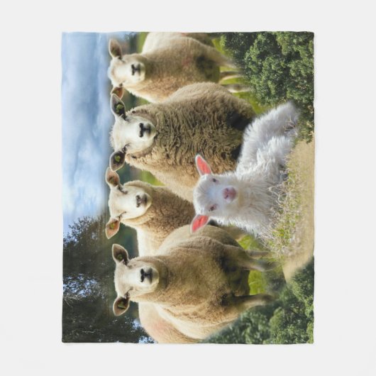 Sheep Flock Sheep Herd Baby Lamb Fleecedecke (Vorderseite)