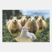 Sheep Flock Sheep Herd Baby Lamb Geschenkpapier Set (Vorderseite 3)