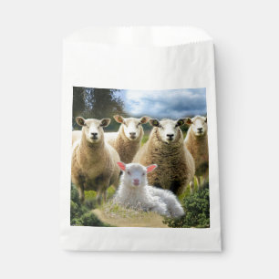 Sheep Flock Sheep Herd Baby Lamb Geschenktütchen