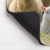 Sheep Flock Sheep Herd Baby Lamb Mousepad (Ecke)