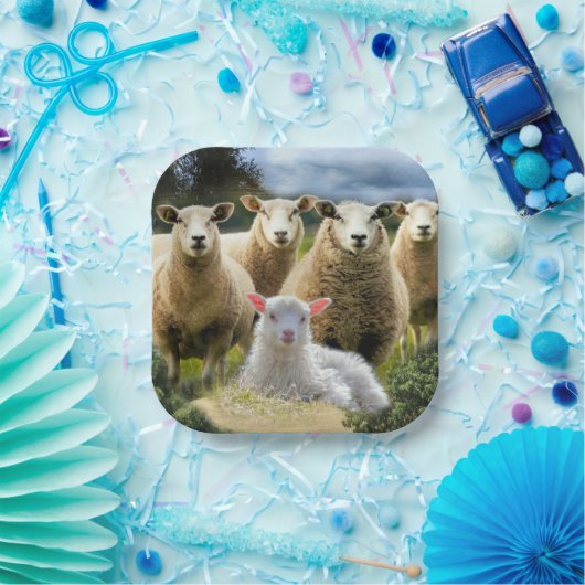 Sheep Flock Sheep Herd Baby Lamb Pappteller (Party)