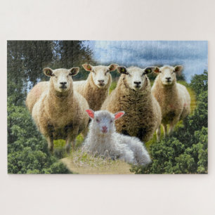Sheep Flock Sheep Herd Baby Lamb Puzzle