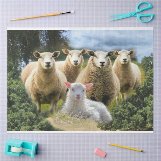 Sheep Flock Sheep Herd Baby Lamb Seidenpapier (Basteln)