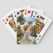 Sheep Flock Sheep Herd Baby Lamb Spielkarten (Rückseite)