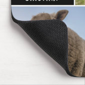 Sheep Foto Collage Custom Mouse Pad Mousepad (Ecke)