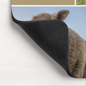 Sheep Foto Collage Custom Mousepad (Ecke)