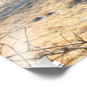 Sheep Foto Print (Ecke)