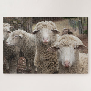 Sheep Friends Puzzle