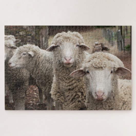 Sheep Friends Puzzle (Horizontal)