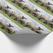 sheep geschenkpapier (Ecke)