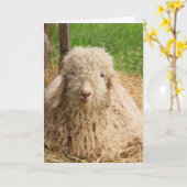 Sheep Goat Puff Funny Holen Sie sich Well Card Karte (Gelbe Blume)