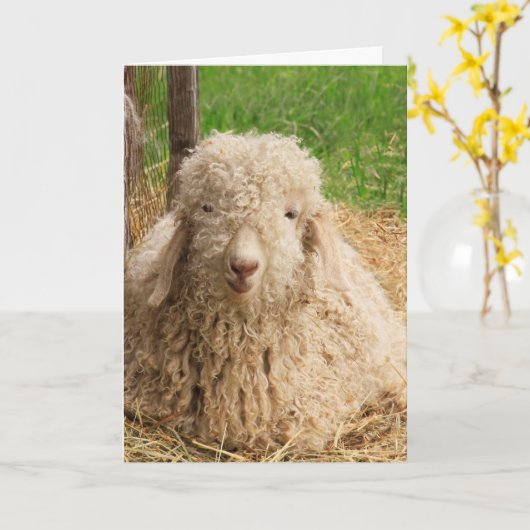 Sheep Goat Puff Funny Holen Sie sich Well Card Karte (Gelbe Blume)