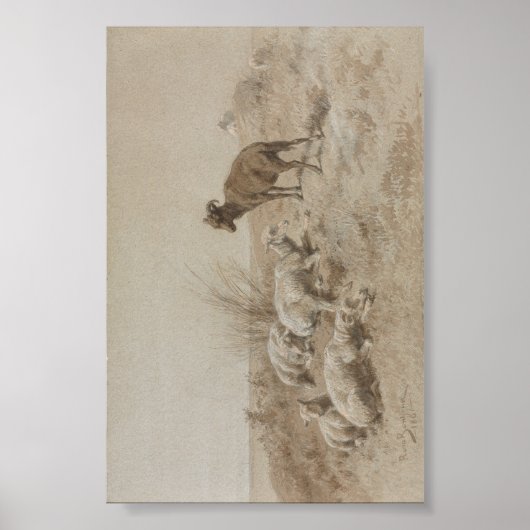 Sheep Graphit Artwork Poster (Vorne)