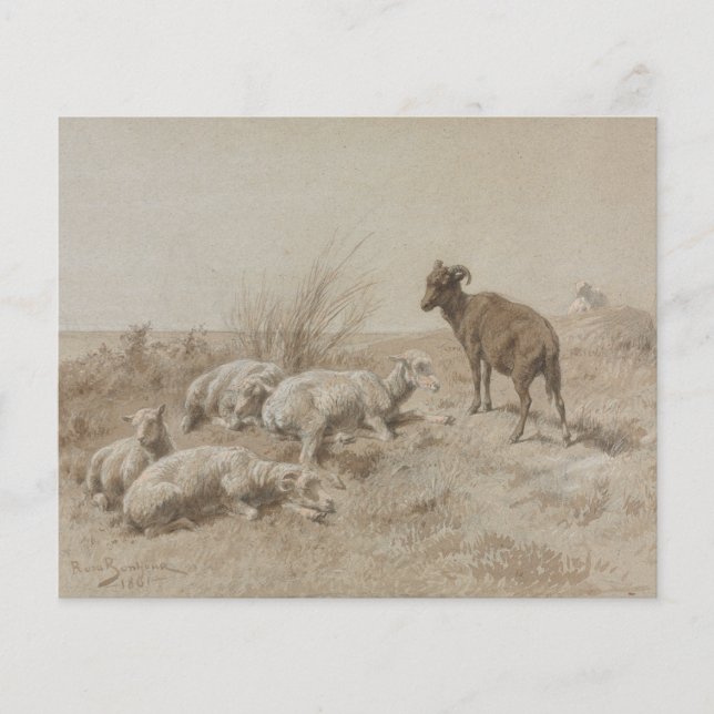 Sheep Graphit Artwork Scrapbook Paper (Vorderseite)