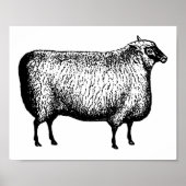 Sheep Gravur Print Poster (Vorne)